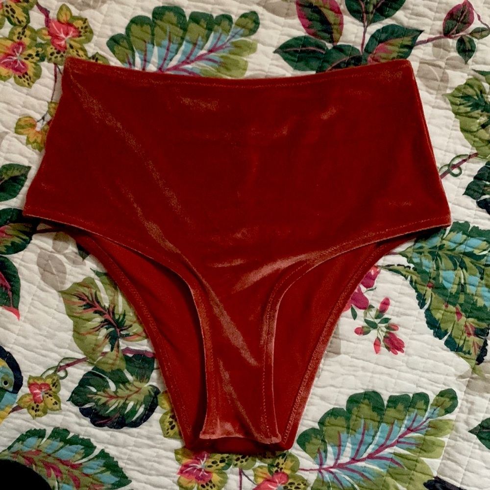 New without tags velvet high waist cheeky bikini bottom.